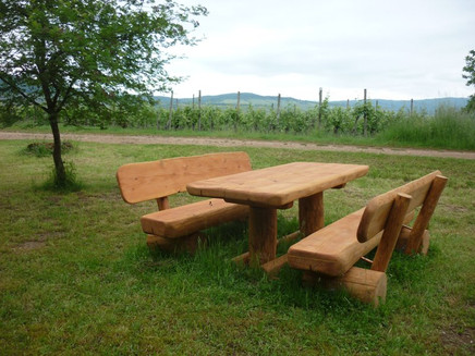 Rastplatz in den Weinbergen oberhalb von Longuich